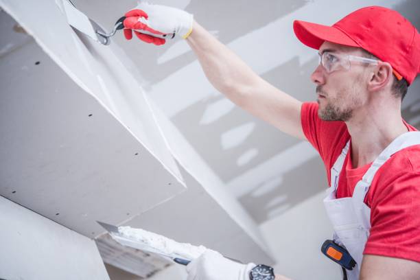 Best Water-Damaged Drywall Repair  in Jonesville, VA